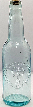 THE NEW SOUTH BREWING & ICE COMPANY EMBOSSED BEER BOTTLE